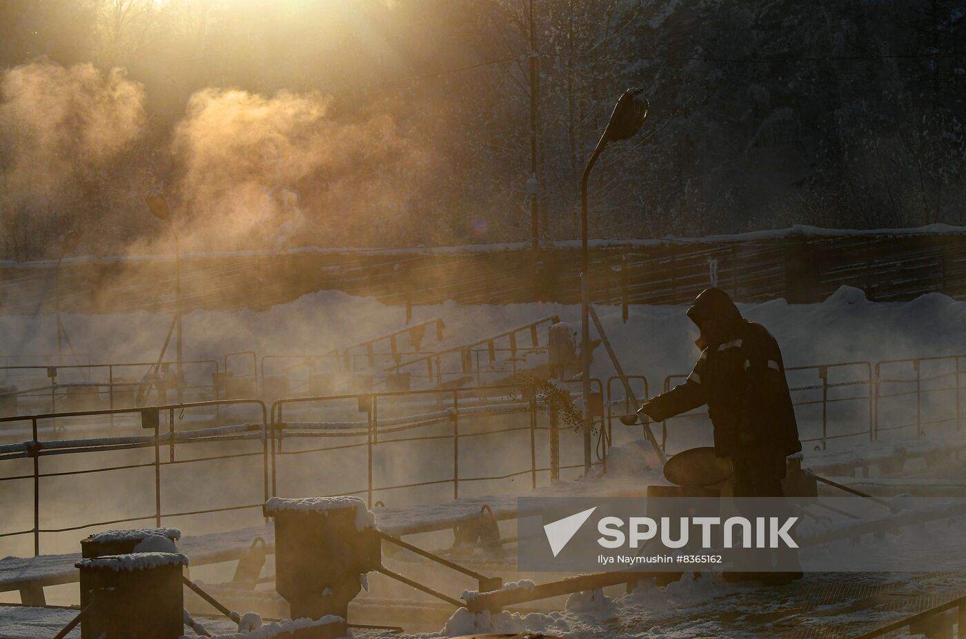 Russia Fish Farming