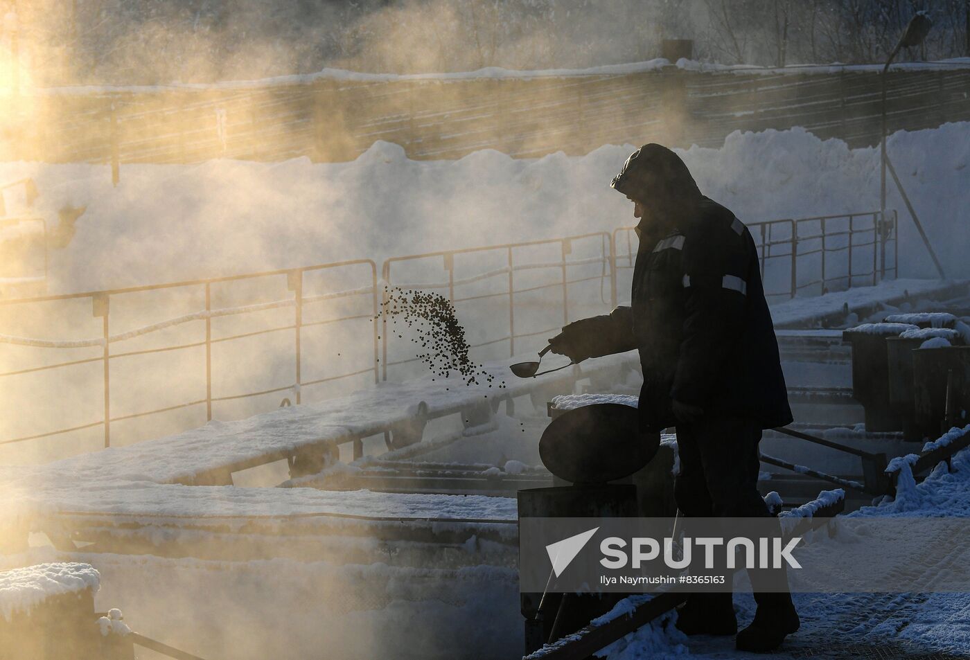 Russia Fish Farming