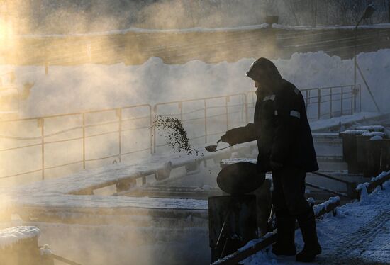 Russia Fish Farming