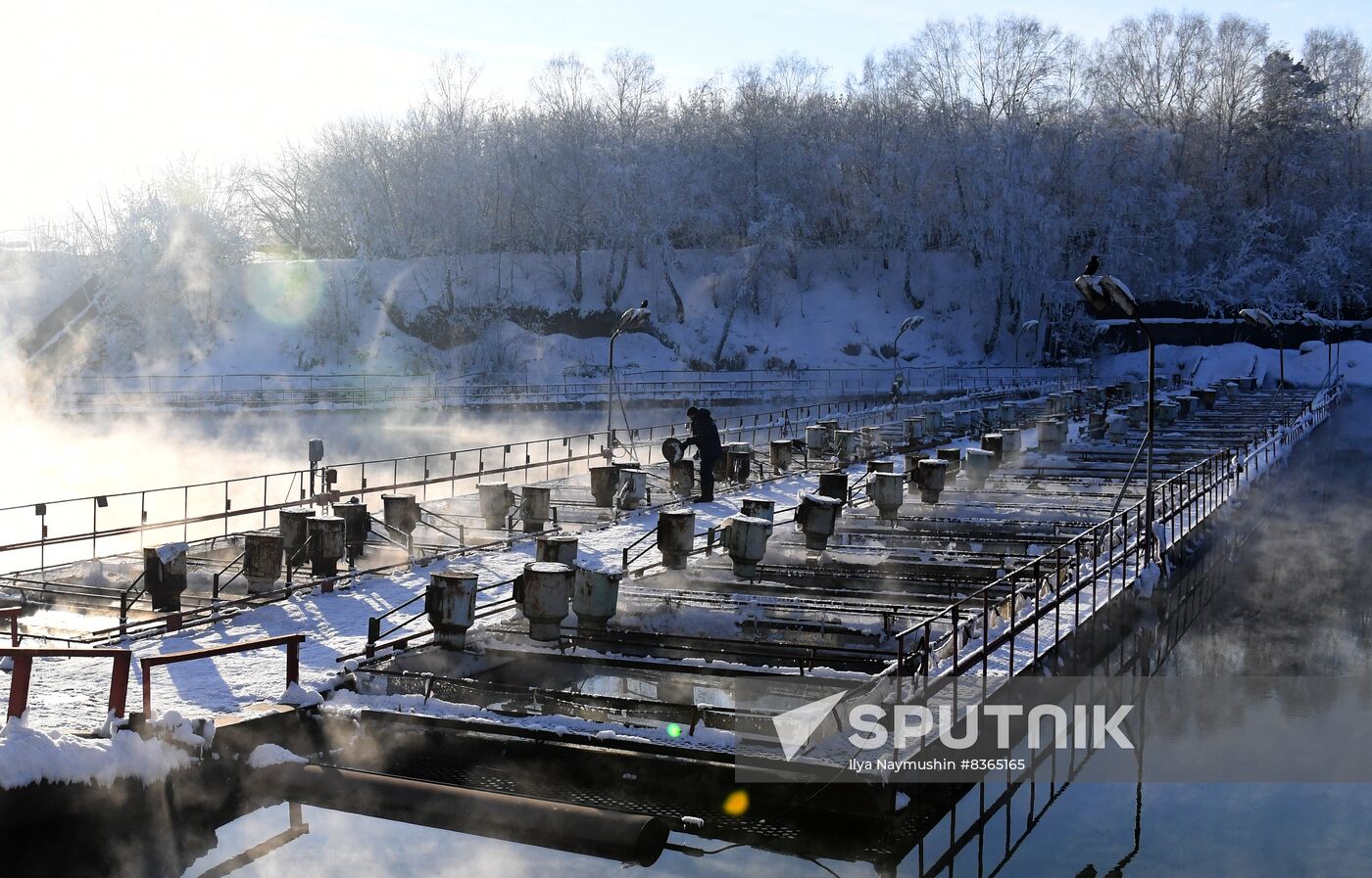 Russia Fish Farming