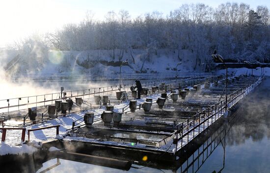 Russia Fish Farming
