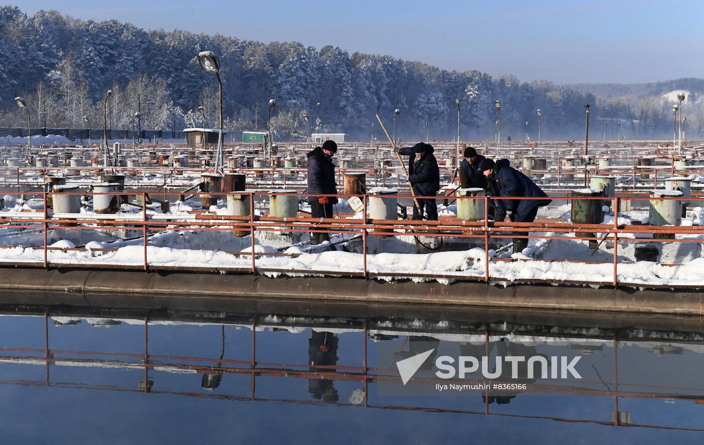 Russia Fish Farming