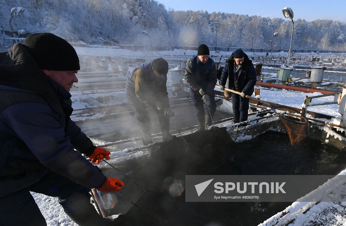 Russia Fish Farming