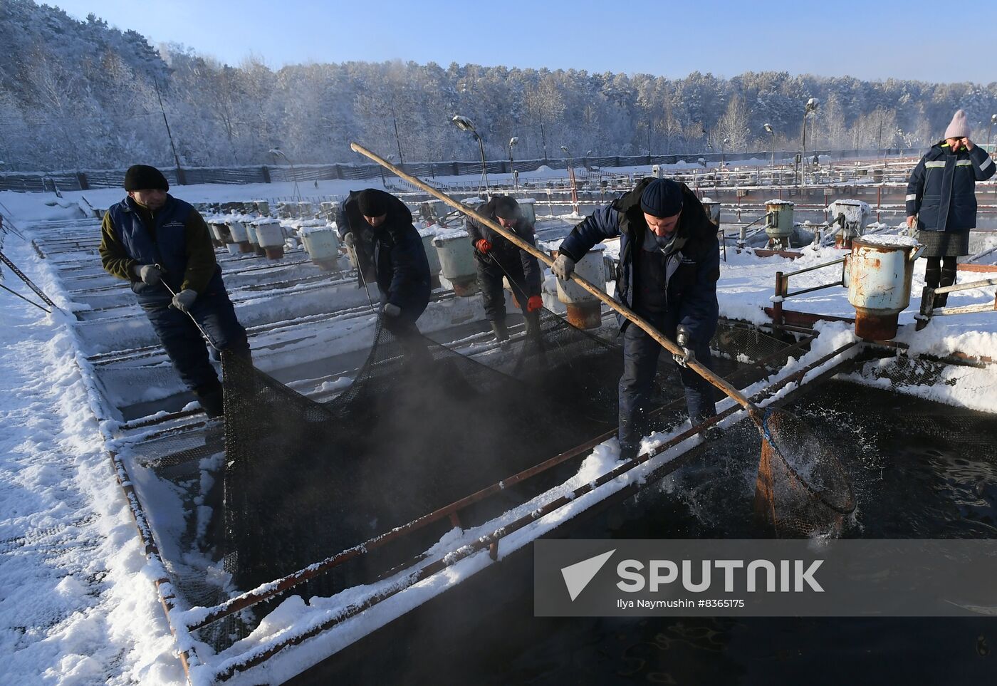Russia Fish Farming