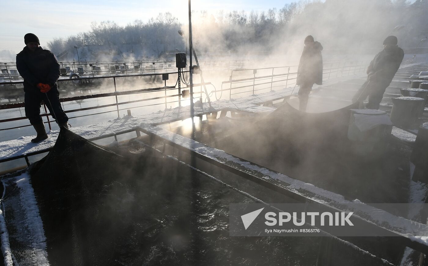 Russia Fish Farming
