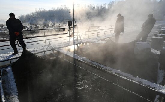 Russia Fish Farming