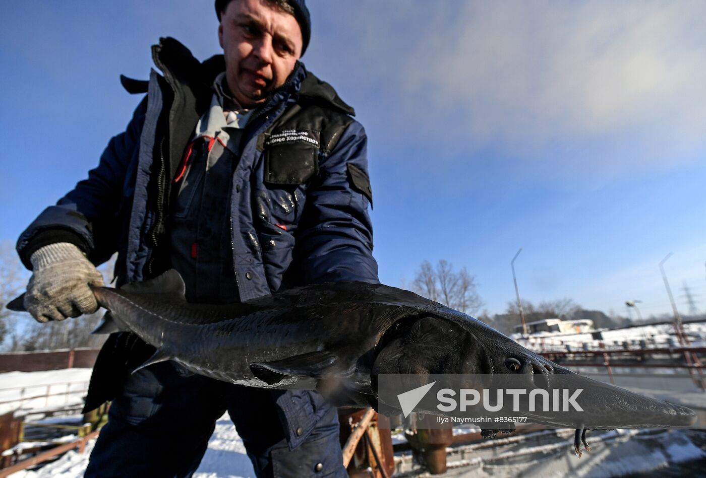 Russia Fish Farming