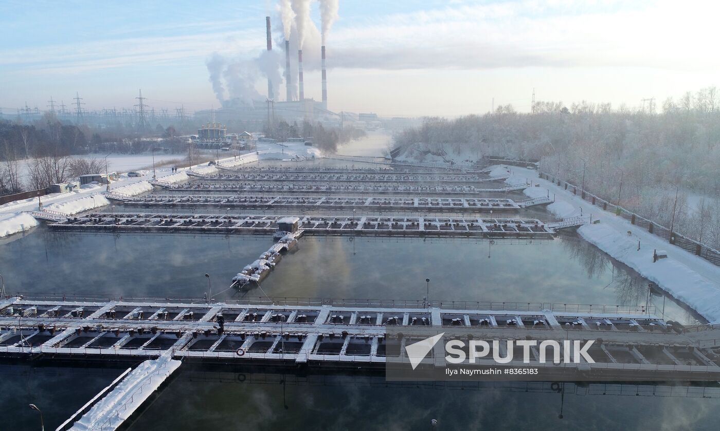 Russia Fish Farming