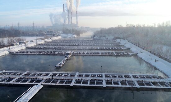 Russia Fish Farming