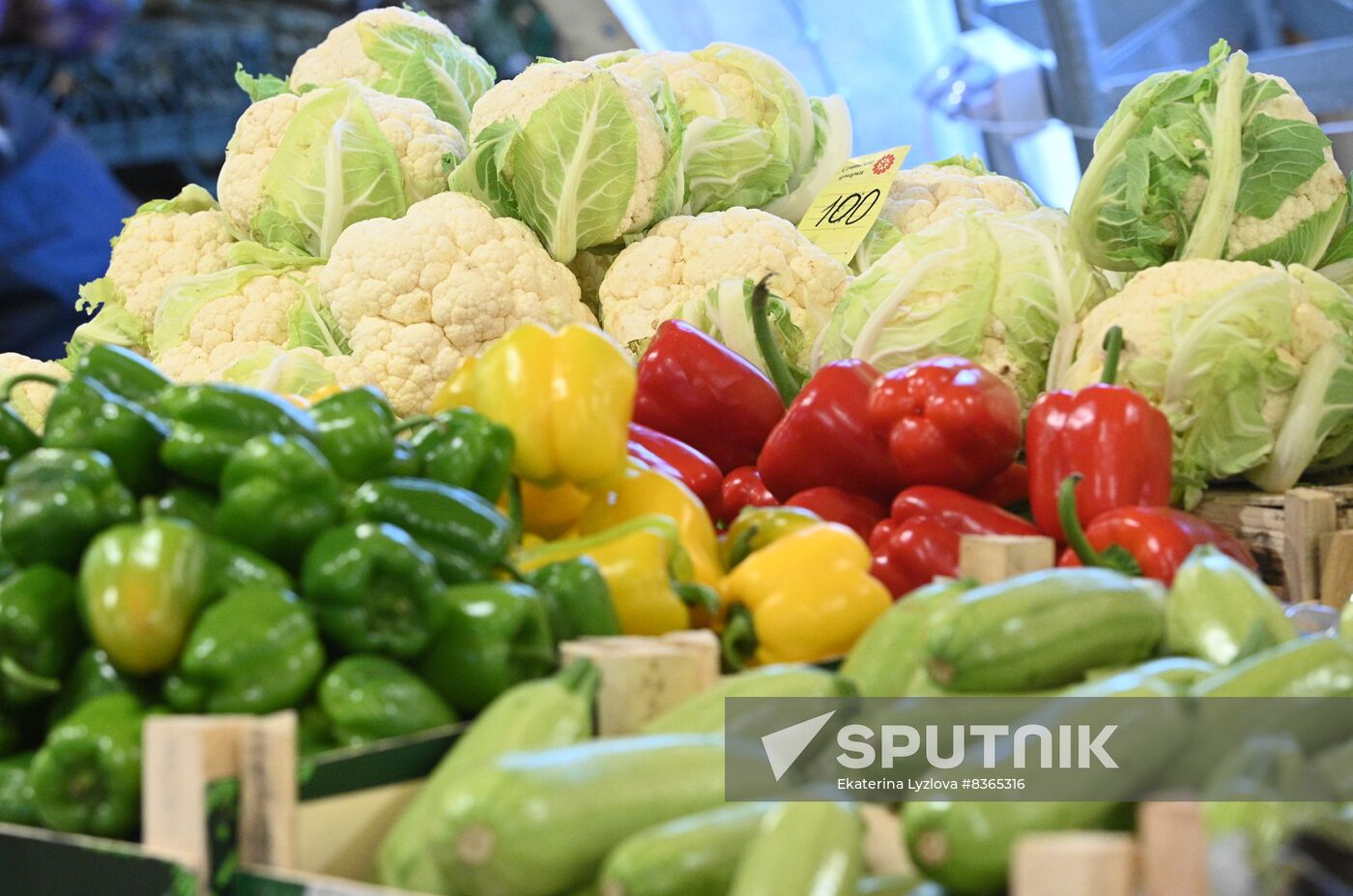 Sochi's largest fair opens after renovation