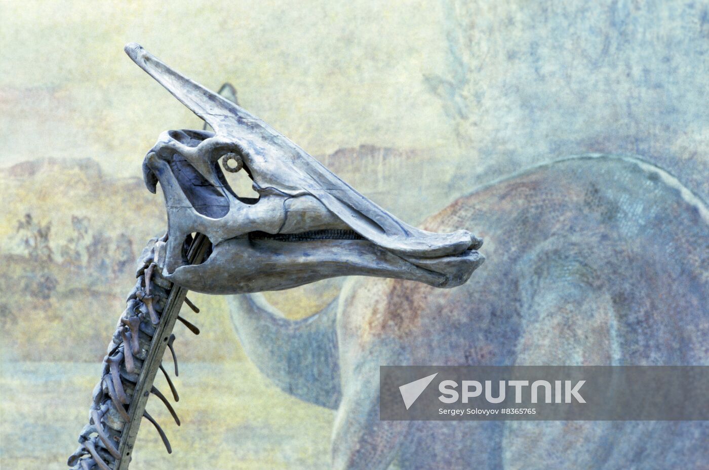 Orlov Paleontology Museum of Soviet Academy of Sciences