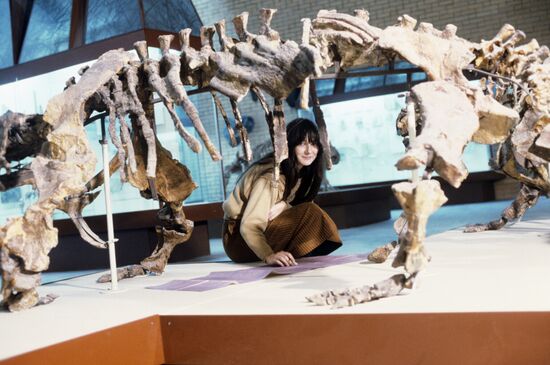 Orlov Paleontology Museum of Soviet Academy of Sciences