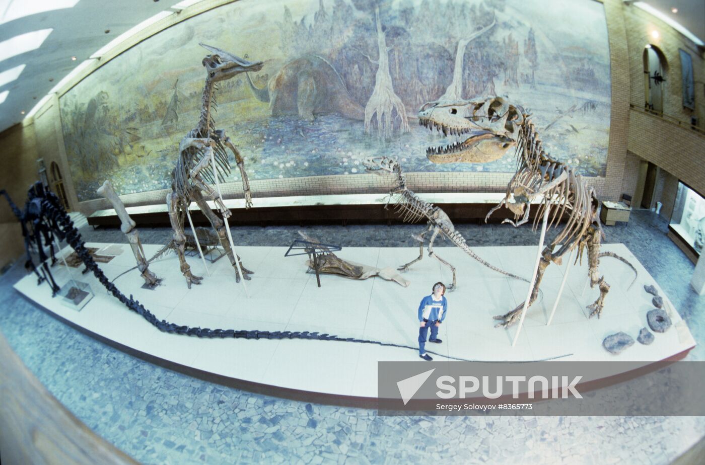 Orlov Paleontology Museum of Soviet Academy of Sciences