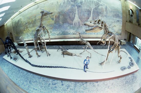 Orlov Paleontology Museum of Soviet Academy of Sciences