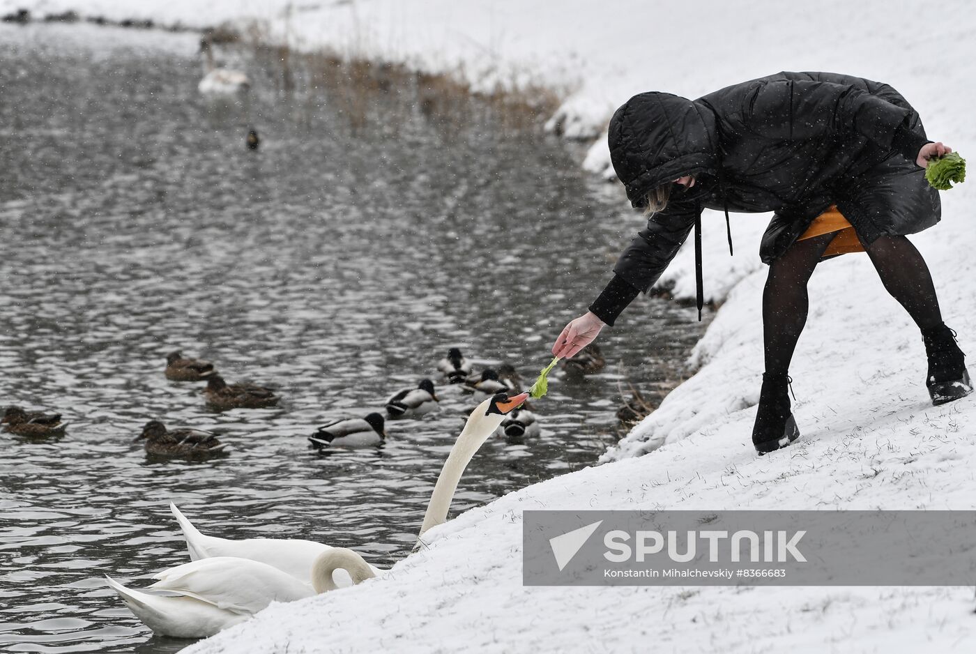 Russia Daily Life