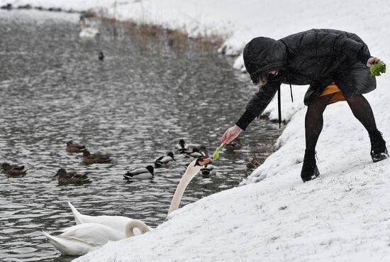 Russia Daily Life