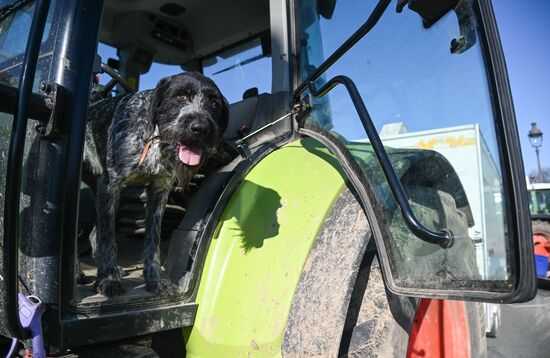 France Farmers Protest