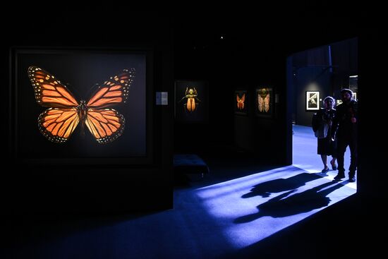 UAE Xposure Photography Festival