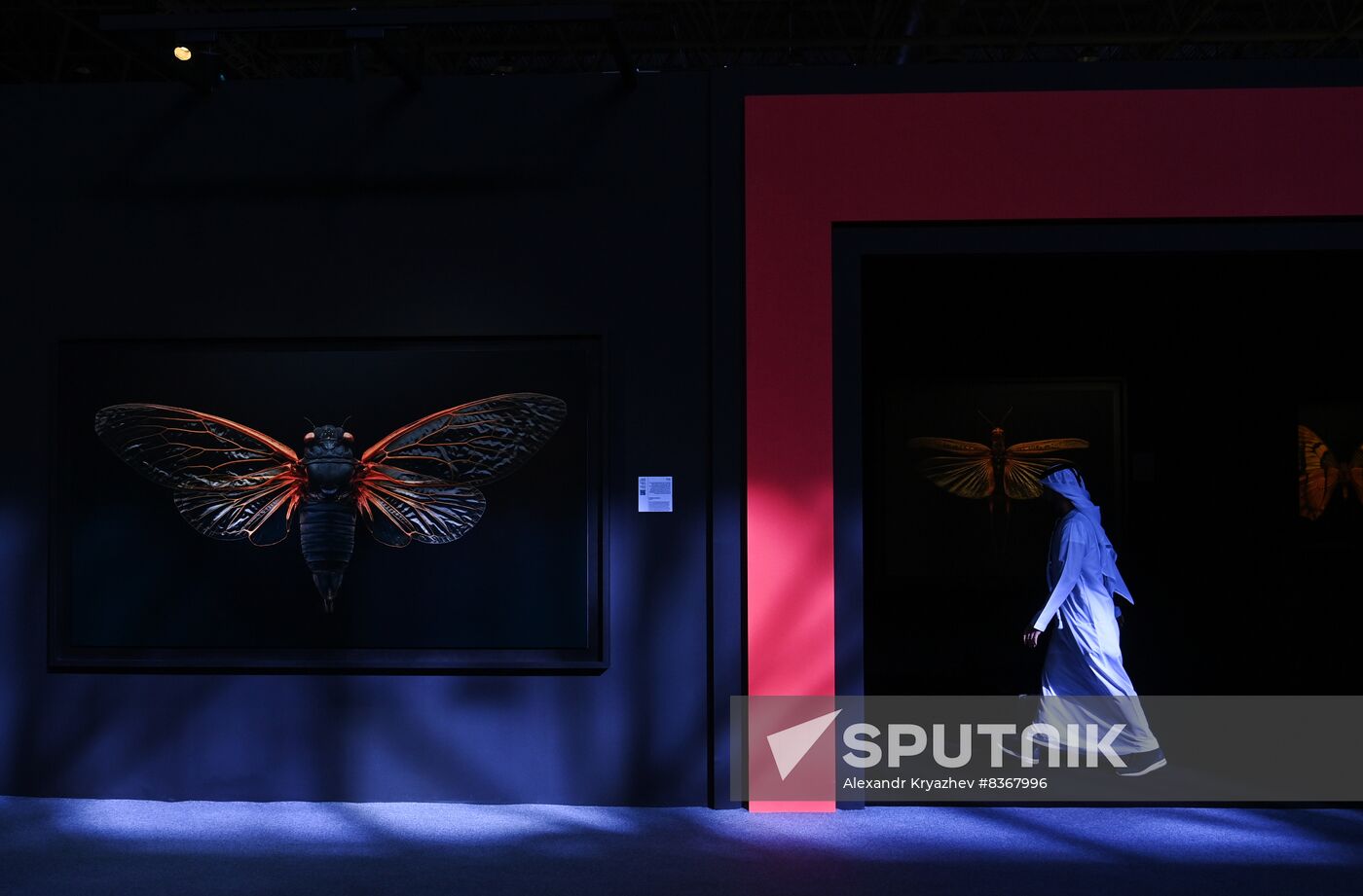 UAE Xposure Photography Festival