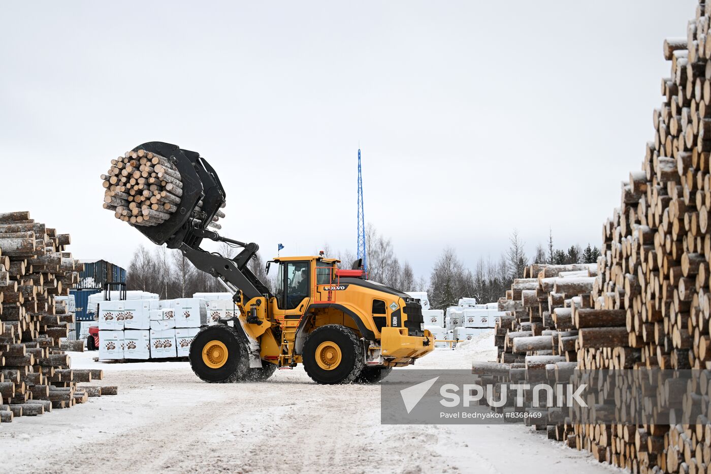 Russia Timber Industry