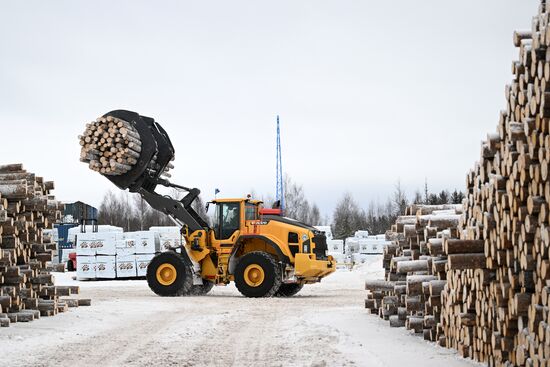 Russia Timber Industry