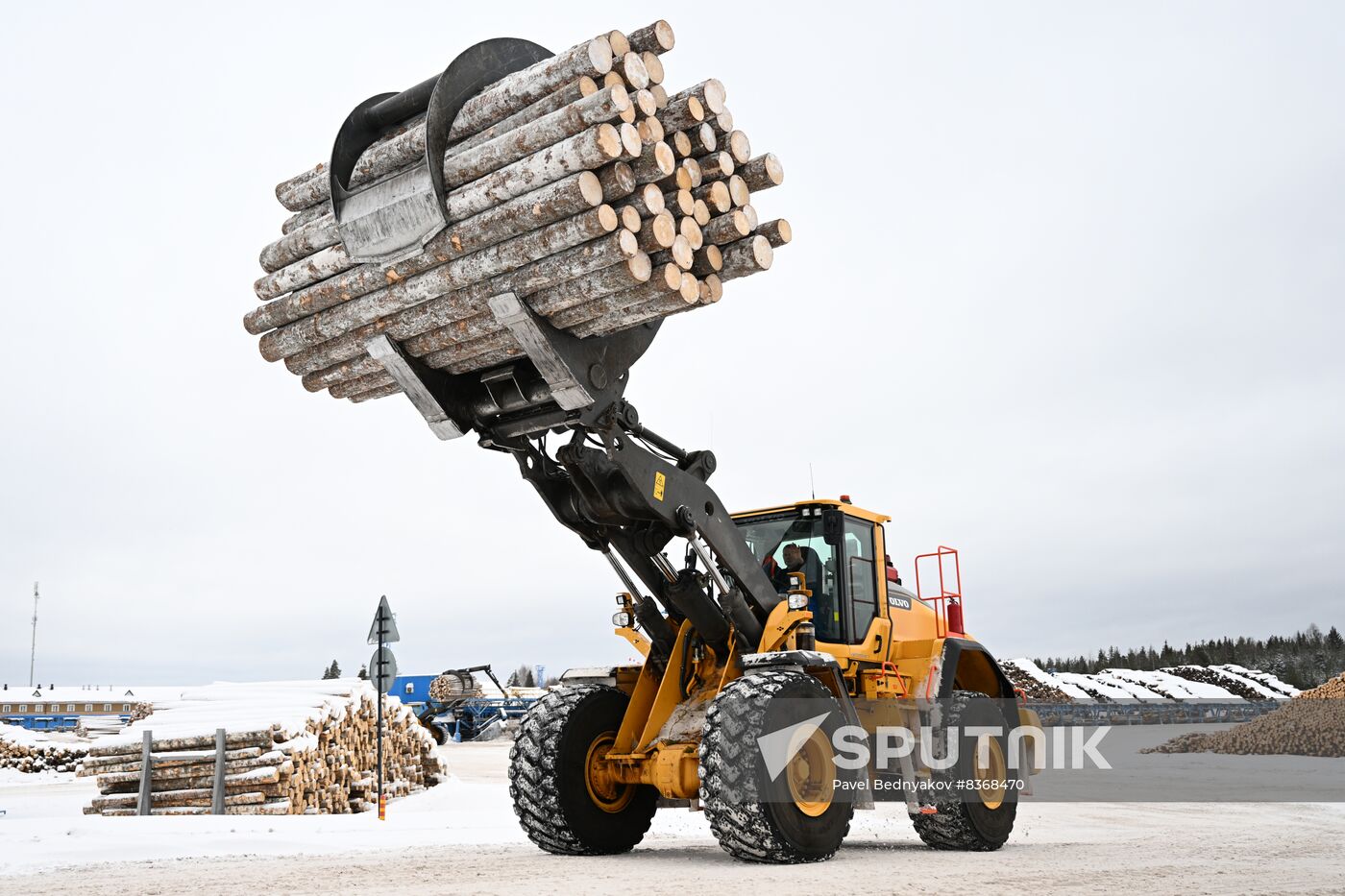 Russia Timber Industry