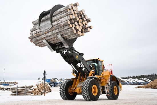 Russia Timber Industry