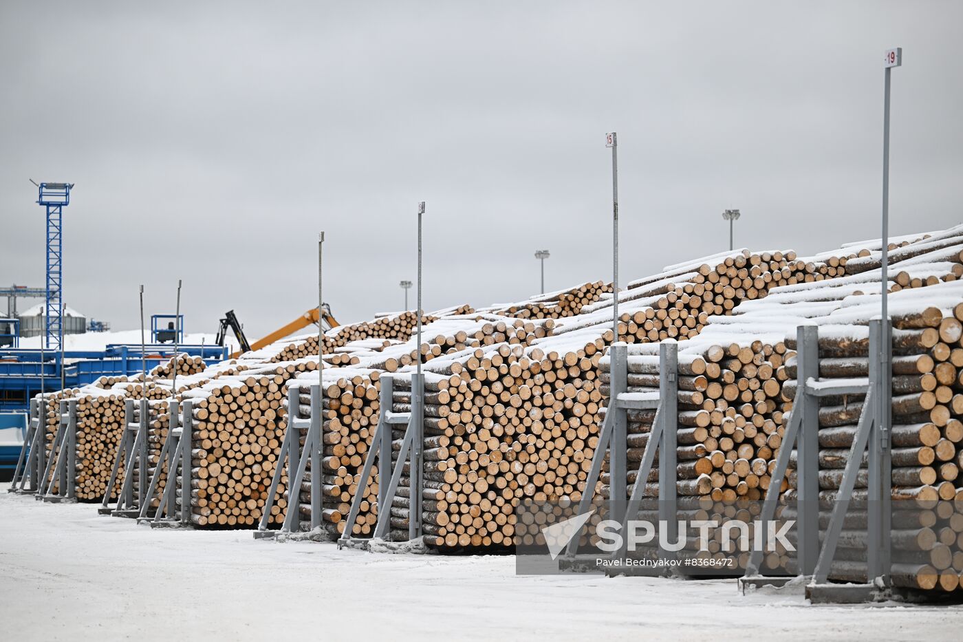 Russia Timber Industry