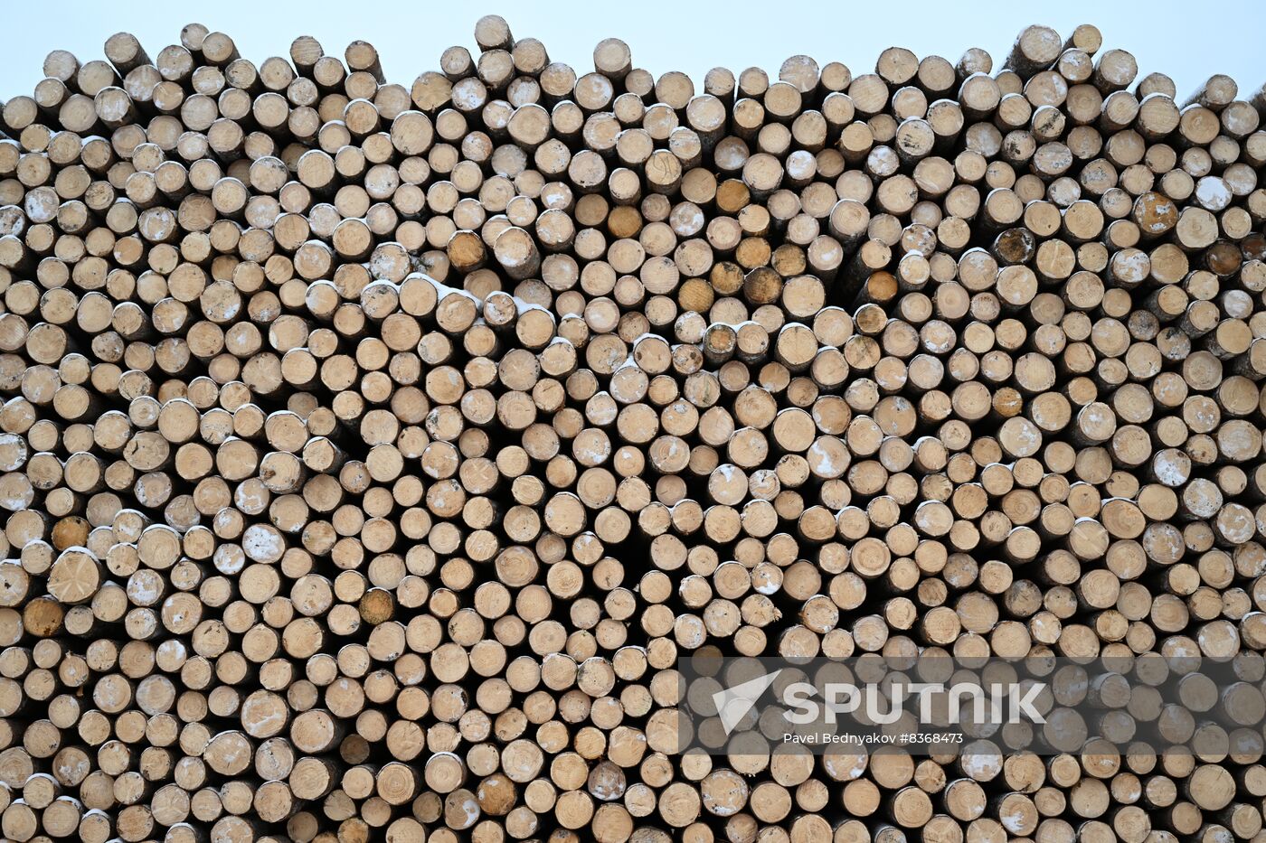 Russia Timber Industry