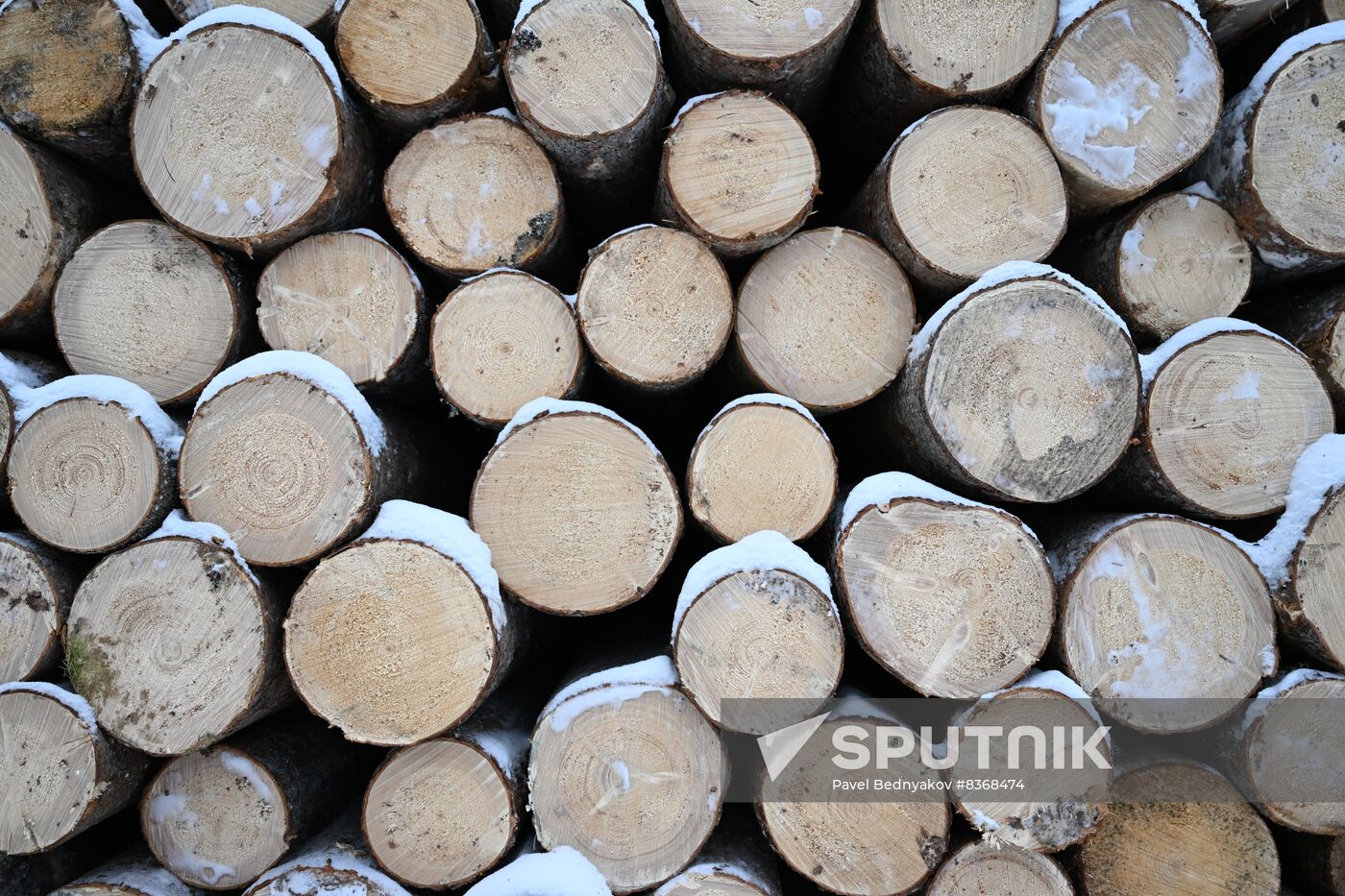 Russia Timber Industry