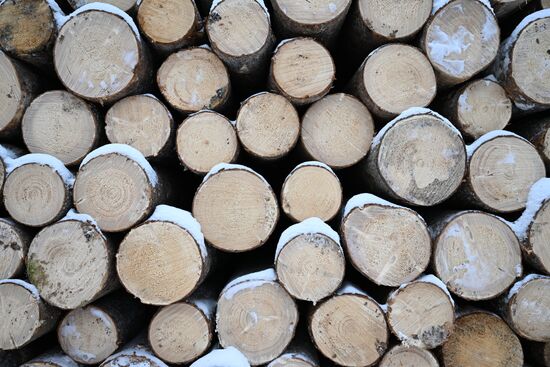 Russia Timber Industry