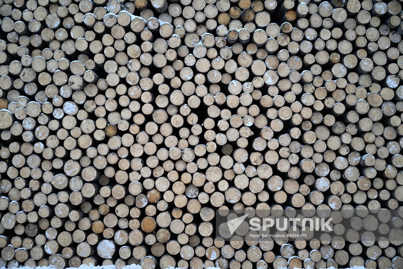 Russia Timber Industry