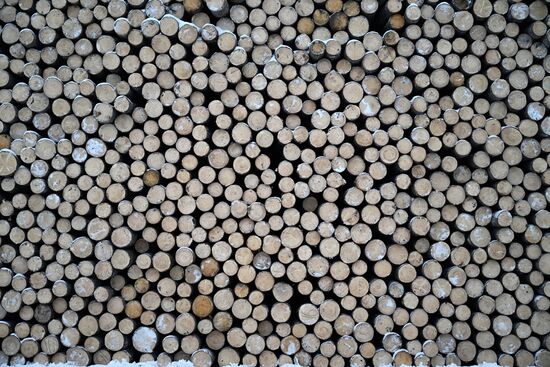 Russia Timber Industry