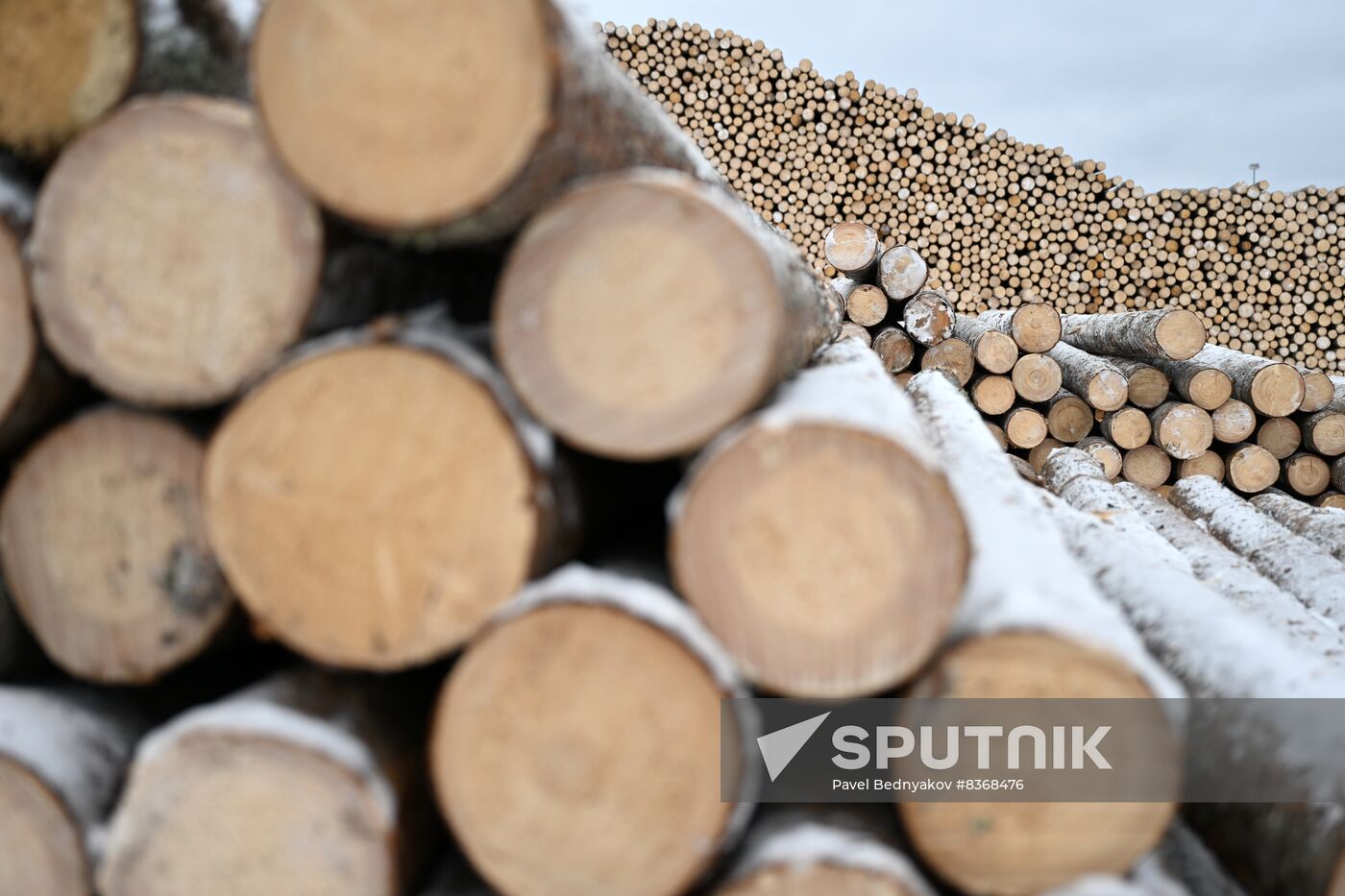 Russia Timber Industry