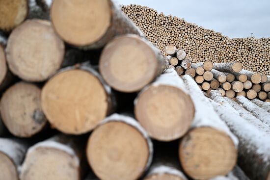 Russia Timber Industry