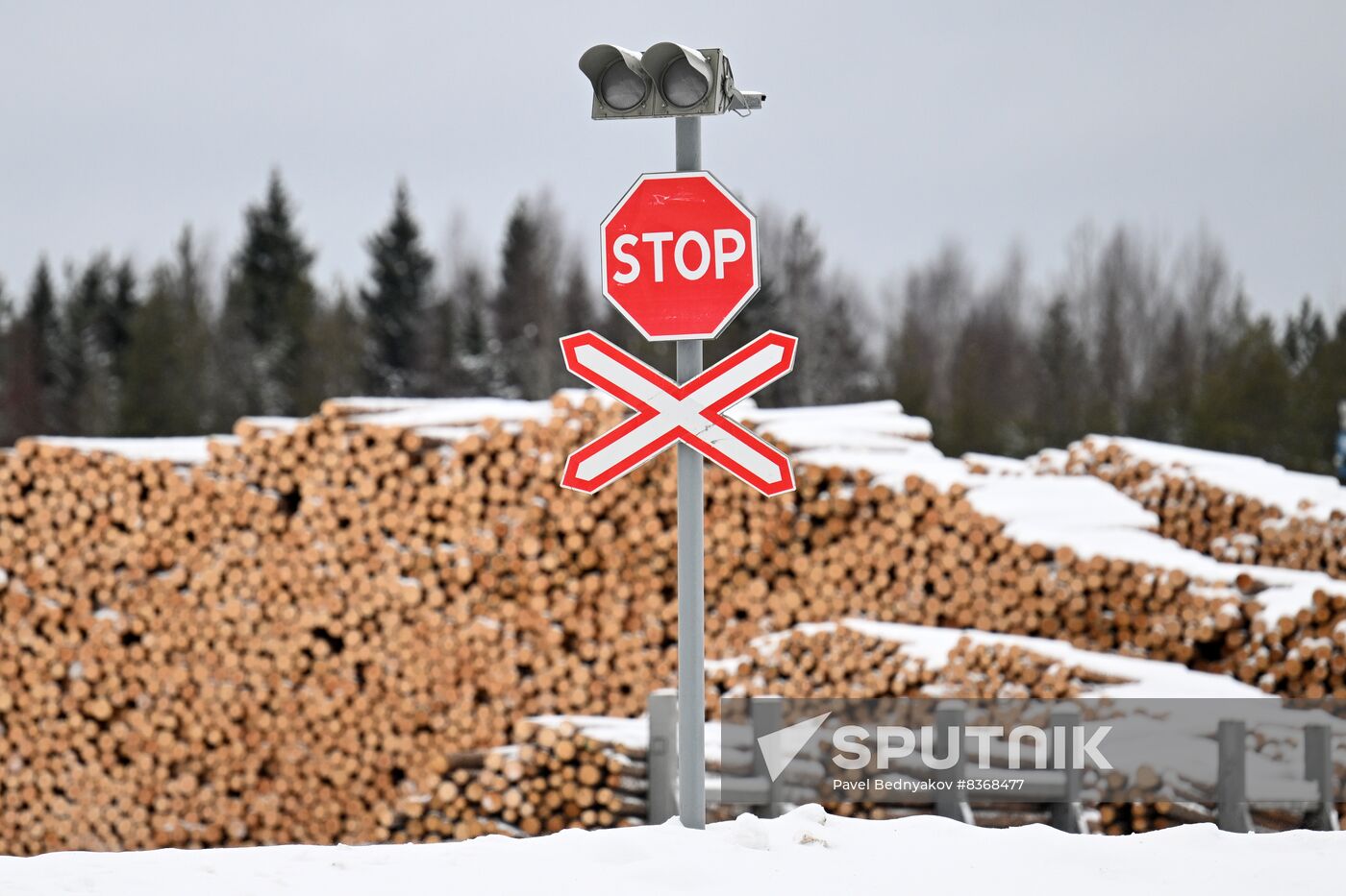 Russia Timber Industry