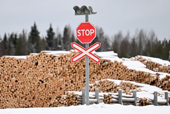 Russia Timber Industry