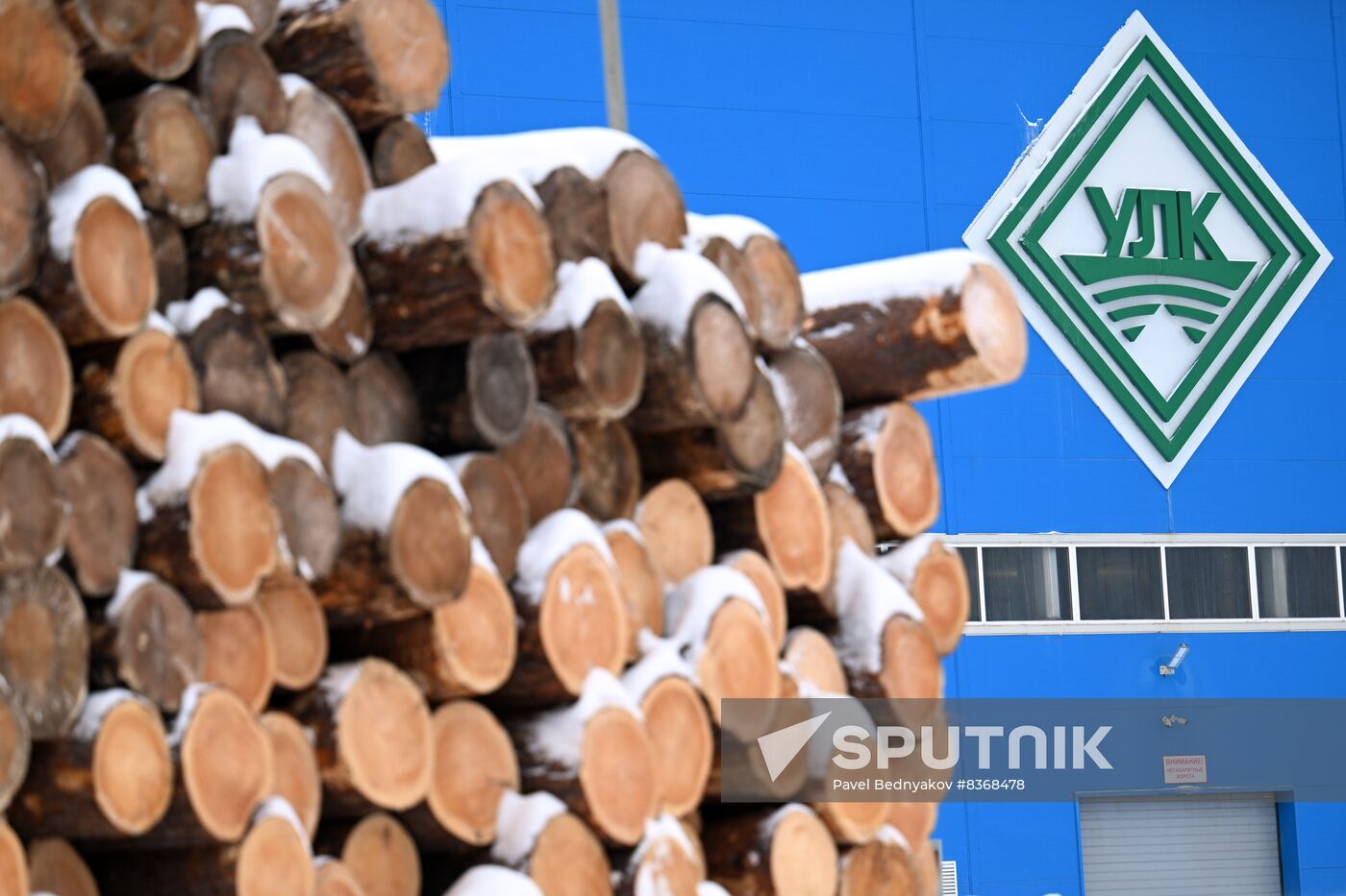 Russia Timber Industry