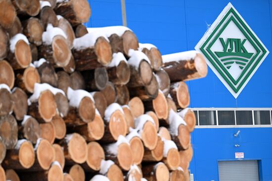 Russia Timber Industry