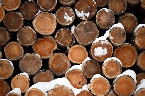 Russia Timber Industry