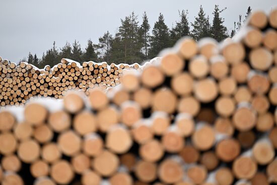 Russia Timber Industry