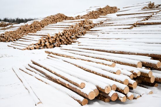 Russia Timber Industry