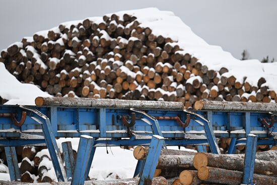 Russia Timber Industry