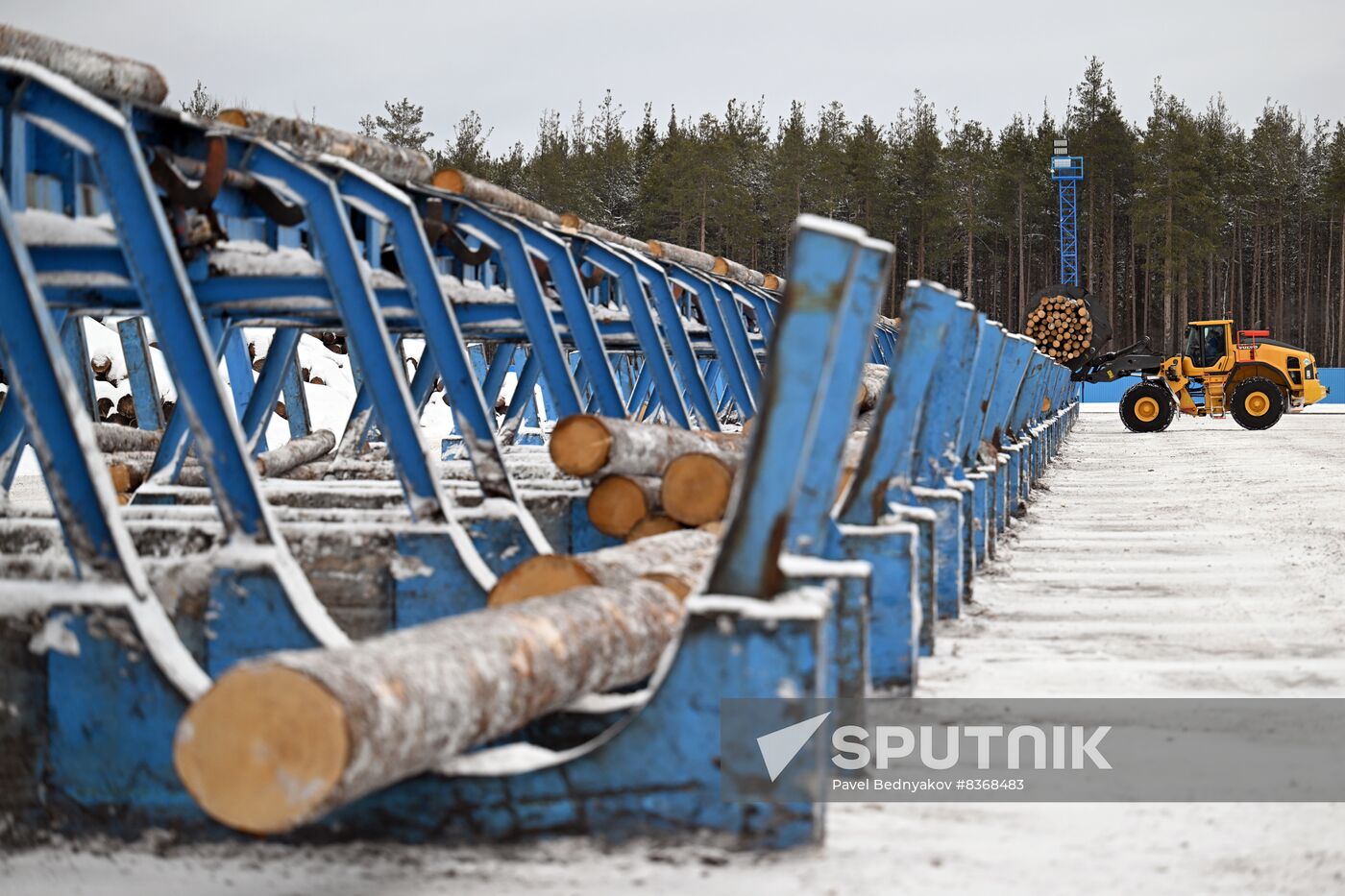 Russia Timber Industry