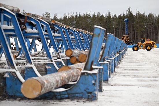 Russia Timber Industry