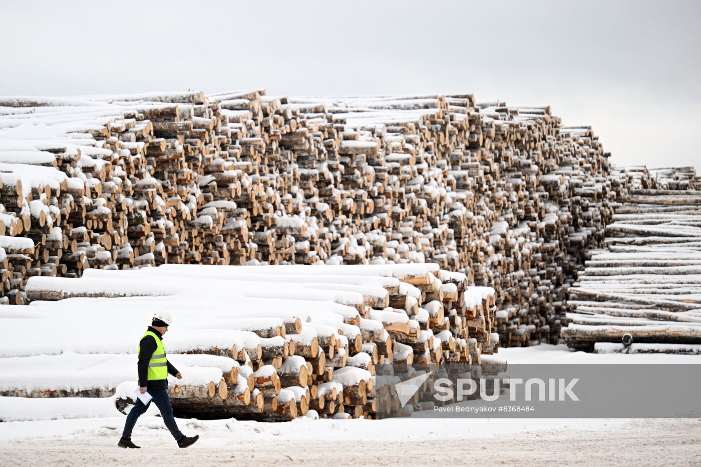 Russia Timber Industry