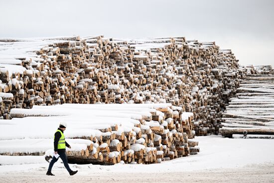 Russia Timber Industry