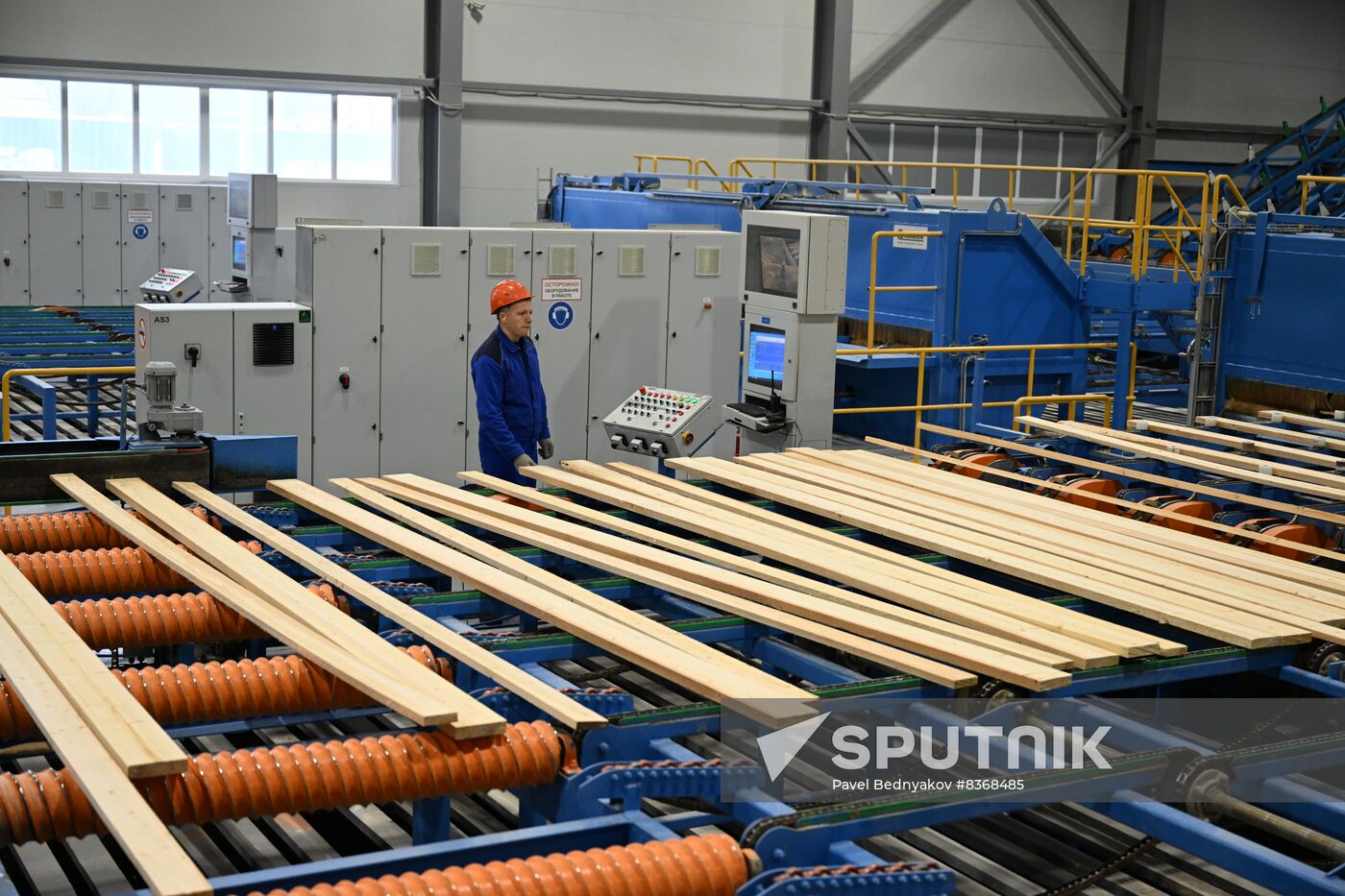 Russia Timber Industry