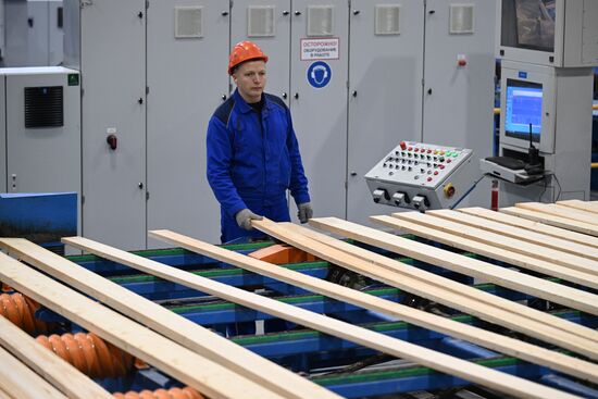 Russia Timber Industry