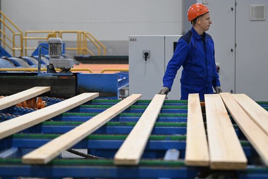 Russia Timber Industry